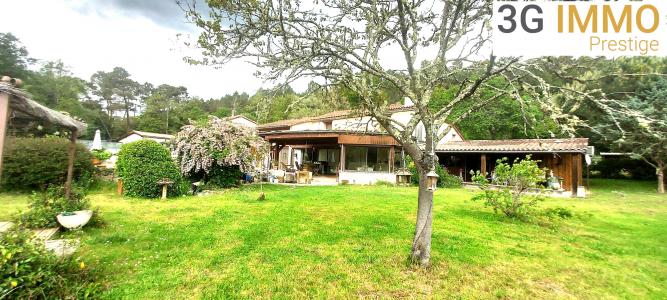 Acheter Maison 479 m2 Ambrus