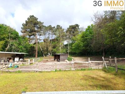 Acheter Maison Ambrus Lot et garonne