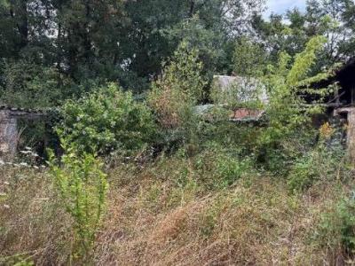 Acheter Maison Saint-laurent-de-cognac Charente