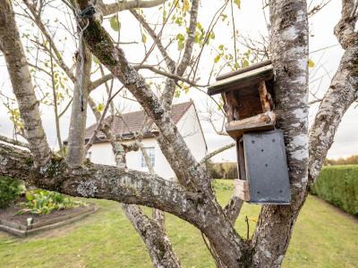 Acheter Maison Meusnes 184900 euros