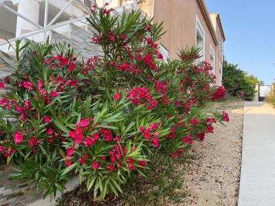 For sale Sausset-les-pins 3 rooms 65 m2 Bouches du Rhone (13960) photo 2