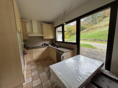 Acheter Maison 236 m2 Thann