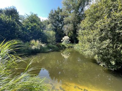 Acheter Maison Lusignan-petit 450000 euros