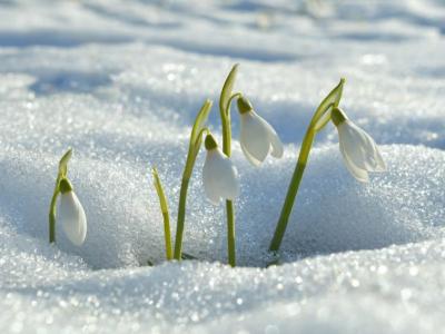 Acheter Maison 89 m2 Briancon