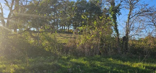 Acheter Terrain Pessan 60000 euros