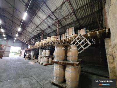 For sale Moras-en-valloire 520 m2 Drome (26210) photo 2