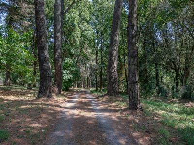 For sale Guerande 6 rooms 226 m2 Loire atlantique (44350) photo 1