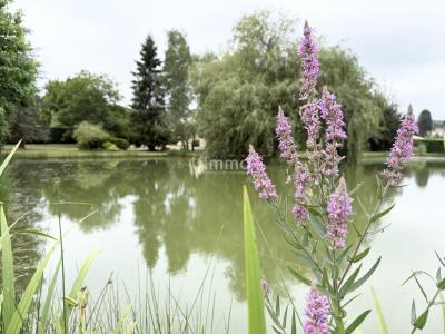 Acheter Maison 168 m2 Villamblard