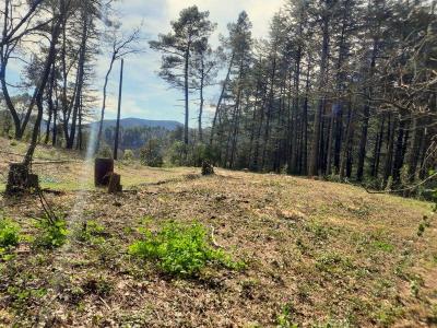 For sale Gard (30500) photo 2