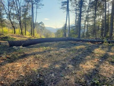 For sale Gard (30500) photo 3