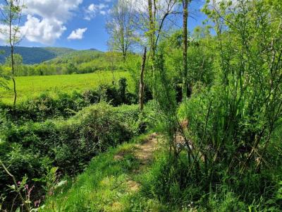 Annonce Vente 5 pices Maison Brassac 09