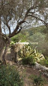 Acheter Prestige Bonifacio Corse