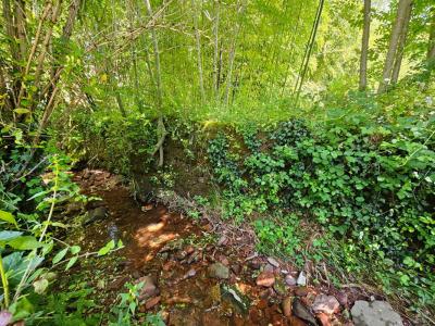 Acheter Maison Collonges-la-rouge 470000 euros