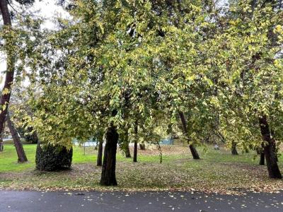 For sale Bouscat 2 rooms 35 m2 Gironde (33110) photo 0