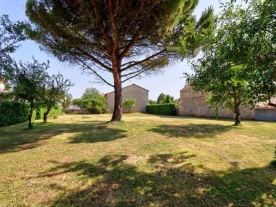 Annonce Vente 5 pices Maison Sainte-ouenne 79