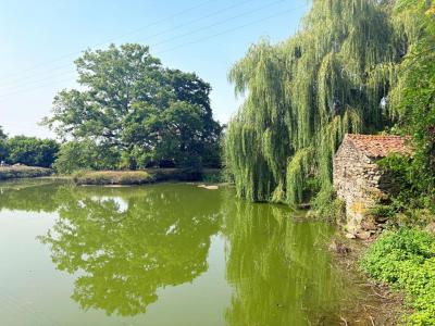 Annonce Vente 7 pices Maison Cugand 85