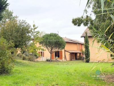 For sale Revel-tourdan 6 rooms 242 m2 Isere (38270) photo 0