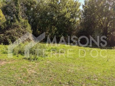 For sale Realmont 90 m2 Tarn (81120) photo 1