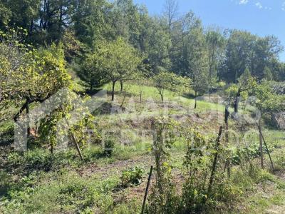 For sale Puygouzon 1190 m2 Tarn (81990) photo 0