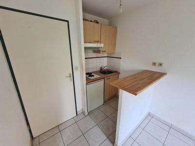 Annonce Location Appartement Toulouse 31