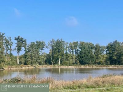 Acheter Prestige Lamotte-beuvron Loir et cher