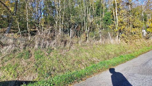 For sale Saint-pierre-la-palud Rhone (69210) photo 4