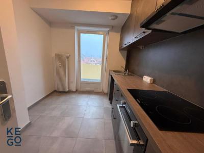 Annonce Location 2 pices Appartement Strasbourg 67