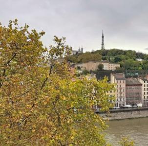 Acheter Appartement Lyon-1er-arrondissement Rhone