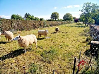 Acheter Maison 91 m2 Fayl-billot