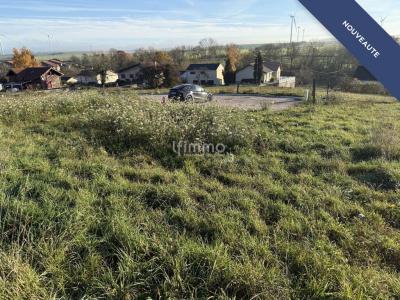Annonce Vente Terrain Narbefontaine 57