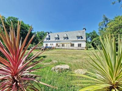 Acheter Prestige Cast Finistere