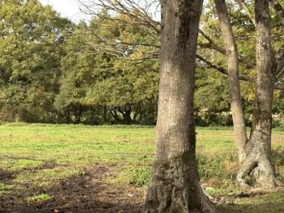 Annonce Vente Prestige Nantes 44