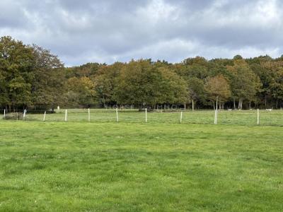 Acheter Prestige 110 m2 Nantes