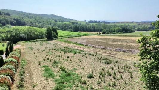 For sale Saint-martin-de-villereglan 1200 m2 Aude (11300) photo 0