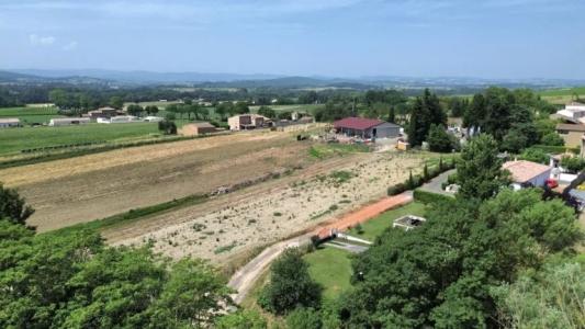 Annonce Vente Terrain Saint-martin-de-villereglan 11