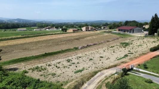 Acheter Terrain Saint-martin-de-villereglan Aude