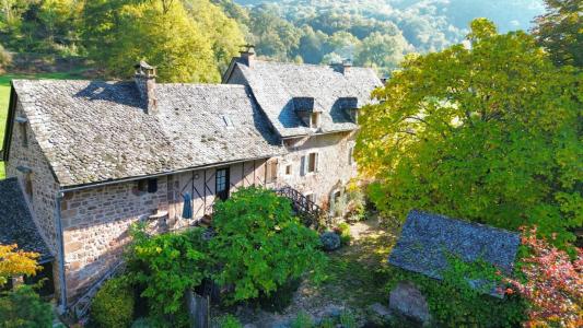 Annonce Vente 11 pices Maison Villecomtal 12