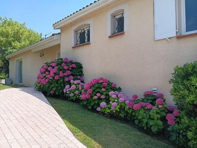 Annonce Vente 5 pices Maison Quint-fonsegrives 31