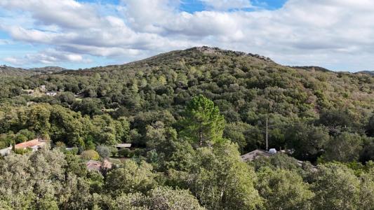 For sale Porto-vecchio 3 rooms 100 m2 Corse (20137) photo 0