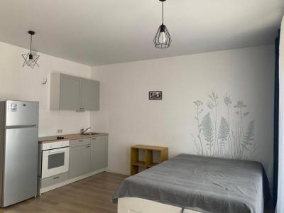 For rent Lyon-5eme-arrondissement 1 room 17 m2 Rhone (69005) photo 0
