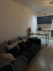 For rent Nice 2 rooms 36 m2 Alpes Maritimes (06000) photo 1