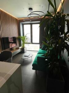 For rent Lyon-7eme-arrondissement 2 rooms 34 m2 Rhone (69007) photo 2