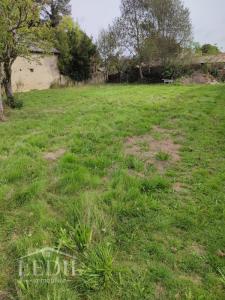 Annonce Vente Terrain Oursbelille 65