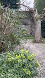For sale Jardin 3 rooms 79 m2 Isere (38200) photo 2
