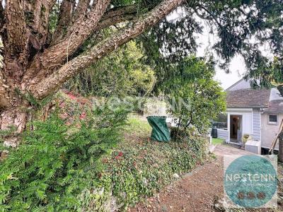 Annonce Vente 3 pices Maison Blois 41