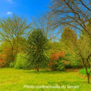 Acheter Terrain 790 m2 Teste-de-buch