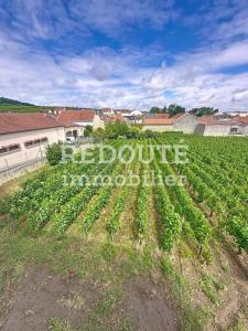 Acheter Maison 148 m2 Ecueil