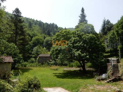 Acheter Maison 385 m2 Saint-andre-de-valborgne