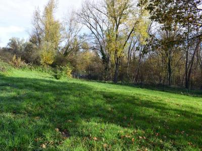 Annonce Vente Maison Vichy 03