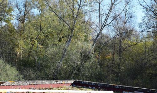 Acheter Maison 250 m2 Vichy